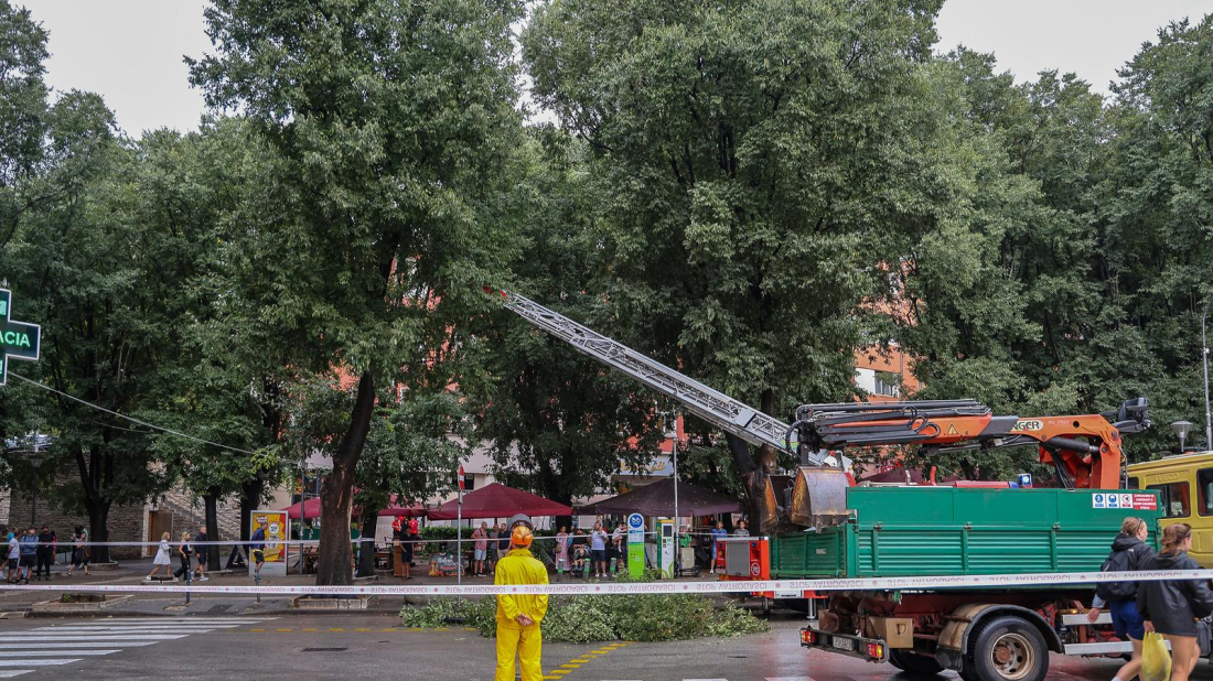 Olujno nevrijeme srušilo ladonju na Giardinima, jučer najviše intervencija u Fažani
