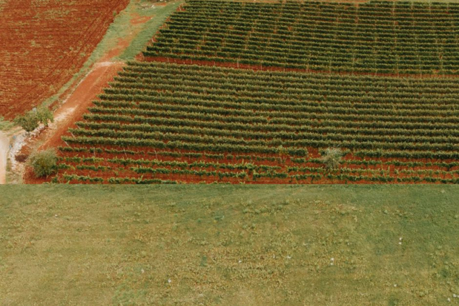 Dodijeljene potpore poljoprivrednicima u Općini Vižinada
