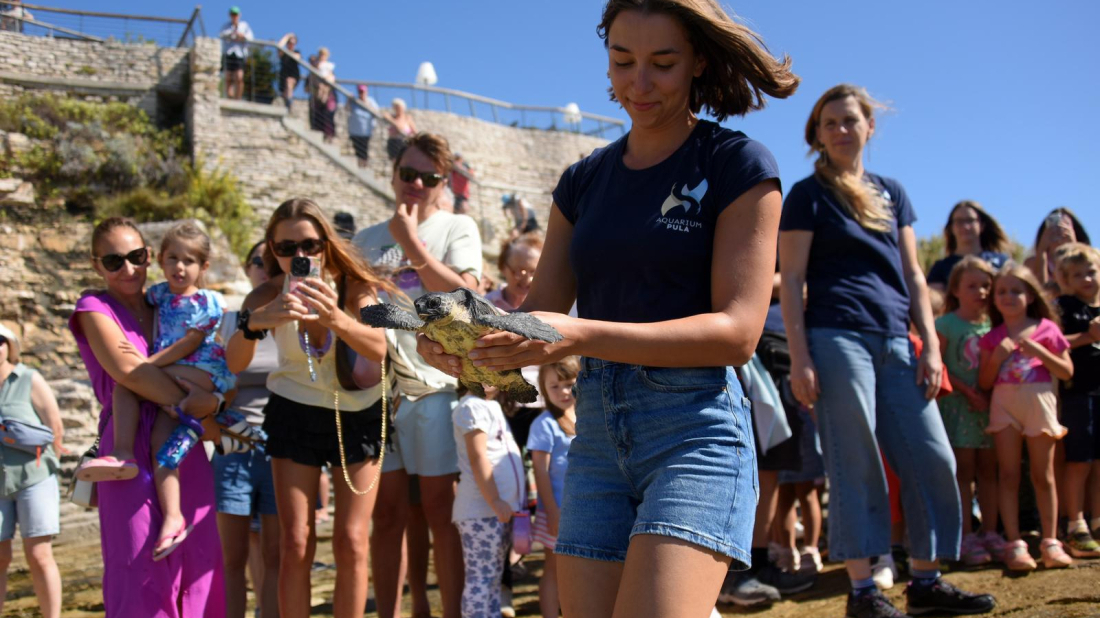 Emotivan oproštaj: Osam glavatih želvi vratilo se u more nakon oporavka u pulskom akvariju
