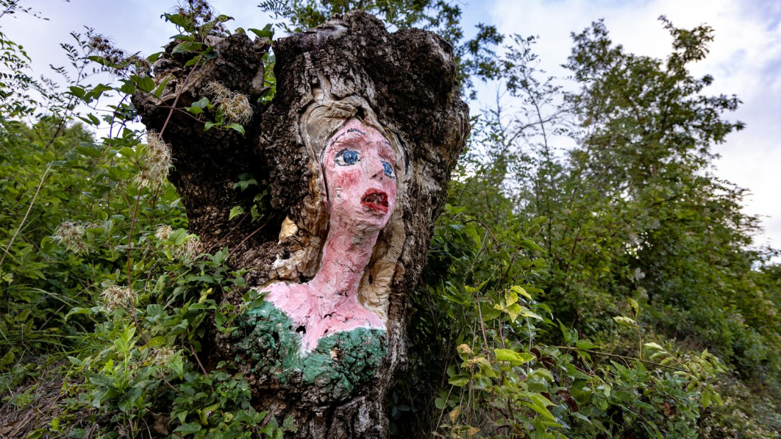 LIJEP PRIZOR Na starom panju u šumi kod Pule nepoznati umjetnik naslikao ženu