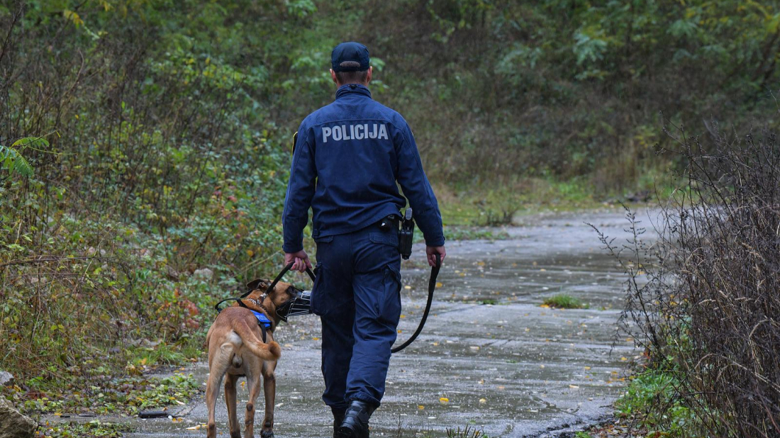 Razotkriven novi slučaj krijumčarenja u Istri: Slovakinja osumnjičena za ilegalni prijevoz migranata!