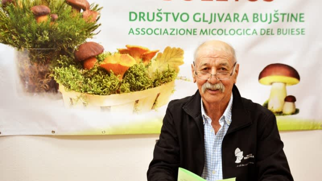 U Istri raste trend noćnog branja gljiva! Željko Ružić upozorava: 'To uništava staništa'