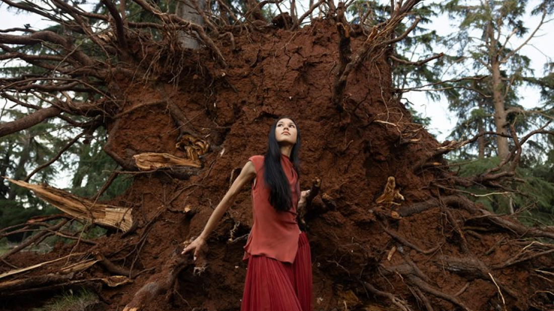 Fotografkinja Tea Pozar ove srijede u Rovinju otvara izložbu ''After the storm''