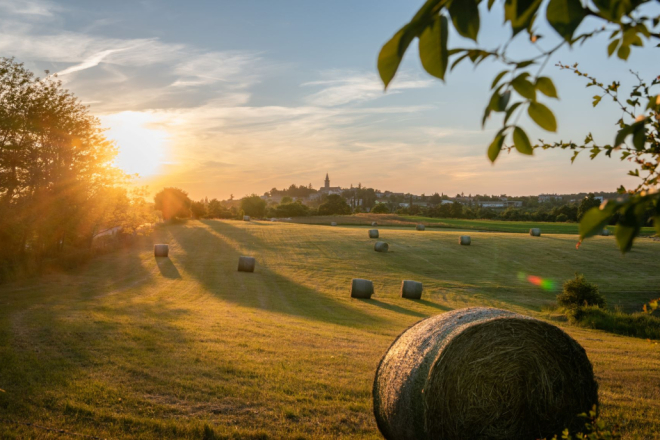 Žminj donio Strategiju zelene urbane obnove: Novi iskorak prema zelenijem, sigurnijem i ugodnijem životu!