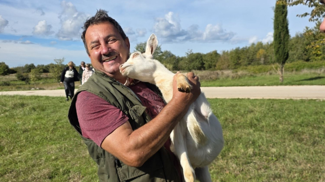 Od 40 do 266 istarskih koza: uzgoj raste, uzgajivači sve mlađi