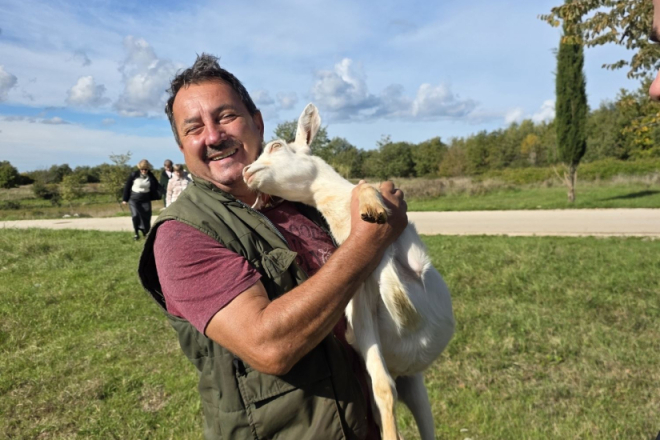 Od 40 do 266 istarskih koza: uzgoj raste, uzgajivači sve mlađi