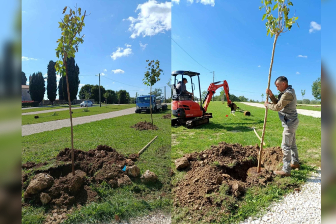 U Vižinadi posađeno još deset stabala crne murve u sklopu projekta "Hrvatska prirodno tvoja"