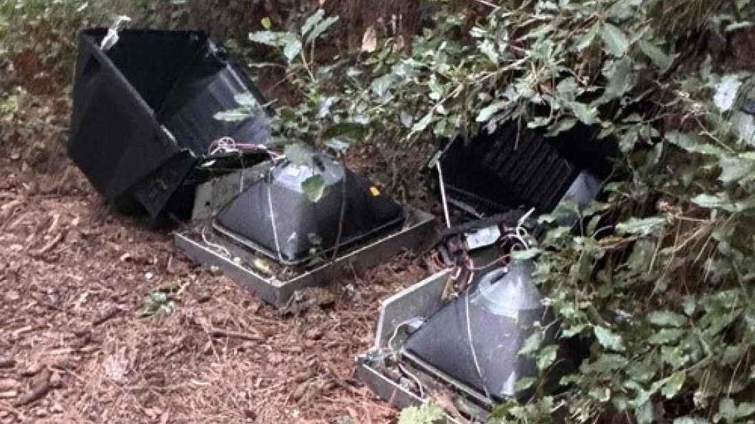Sramotan prizor u Rovinju: Tri televizora bačena u šumu na Stazi mira