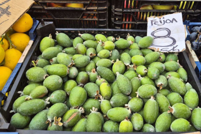 Znate li što je feijoa? "Voćna" ljubavna priča s pulske tržnice