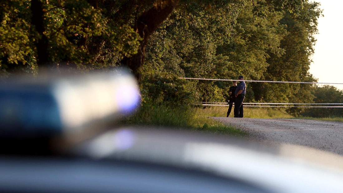 Lovci u šumi kod Novigrada pronašli ljudske kosti? Policija istražuje slučaj!