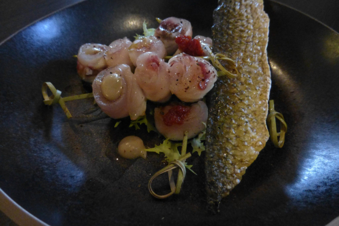 Top chefovi stižu u EGCI: Počinje jesenski ciklus gastronomskih radionica