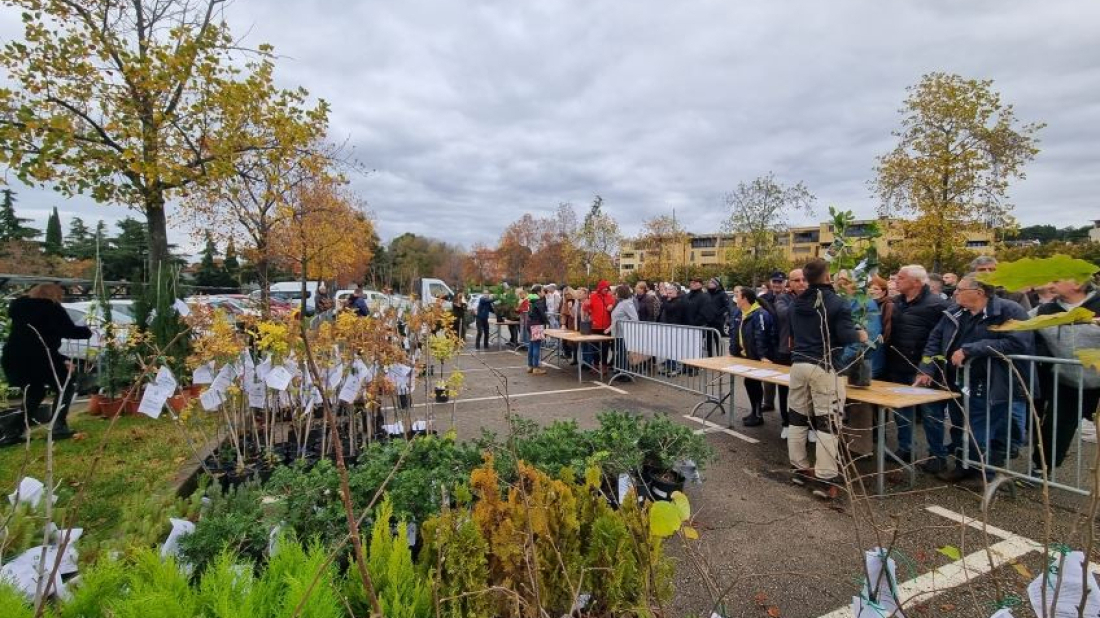 Poreč nastavlja zelenu tradiciju – ove srijede besplatne sadnice za građane u akciji 'Dođi po svoje drvo!'
