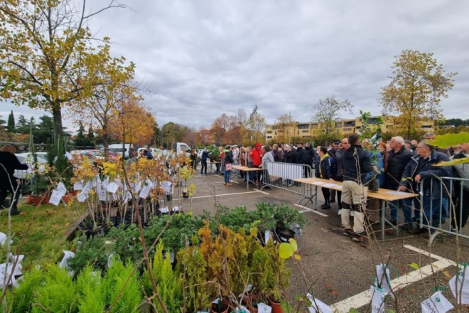 Poreč nastavlja zelenu tradiciju – ove srijede besplatne sadnice za građane u akciji 'Dođi po svoje drvo!'