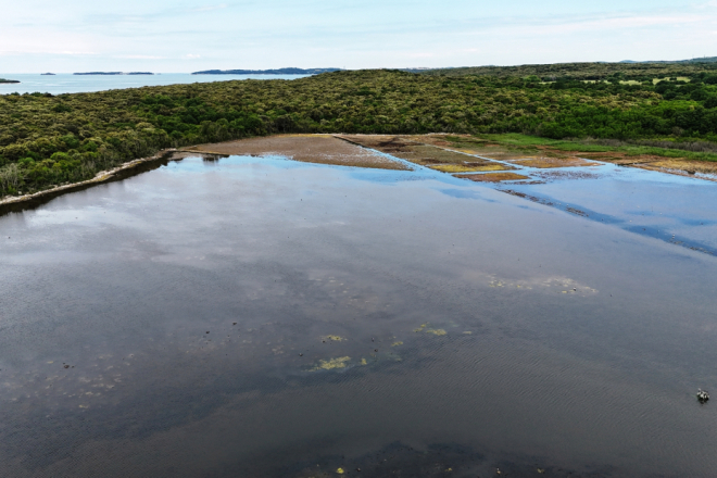 Ne propustite! Iduće subote otkrijte skrivene tajne Paluda uz stručnjake Nature Histrice
