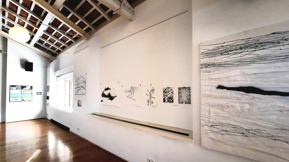 U rovinjskom MMC-u otvorena izložba koja donosi izbor III. Bijenala crteža Pula