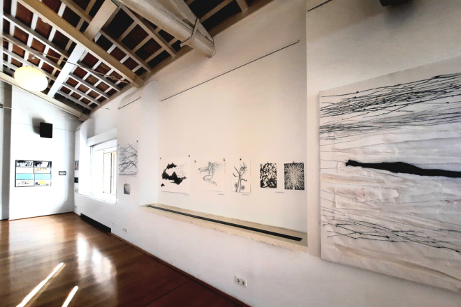 U rovinjskom MMC-u otvorena izložba koja donosi izbor III. Bijenala crteža Pula