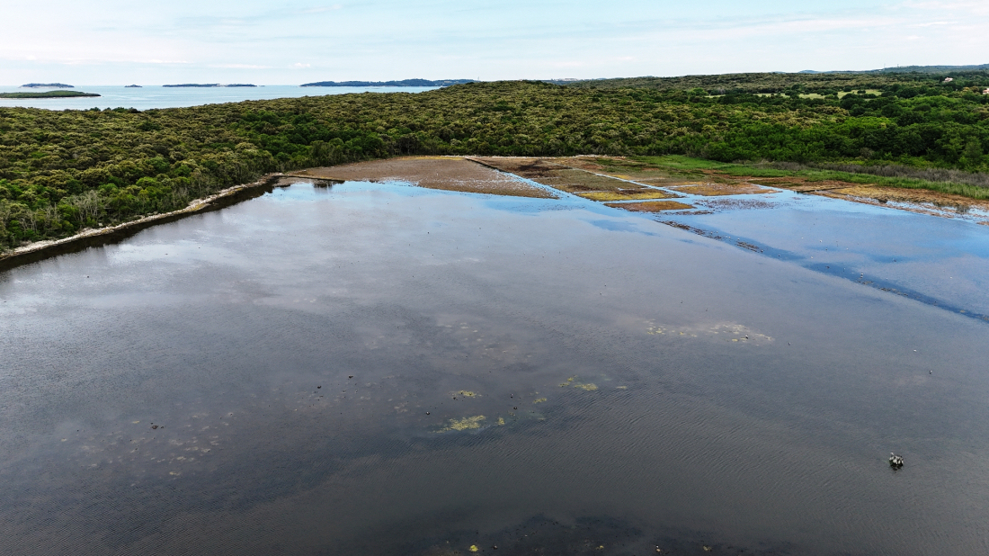 Uključite se u očuvanje Paluda: Znate li da na Paludu možete promatrati dvije vrlo značajne gnjezdarice Hrvatske?