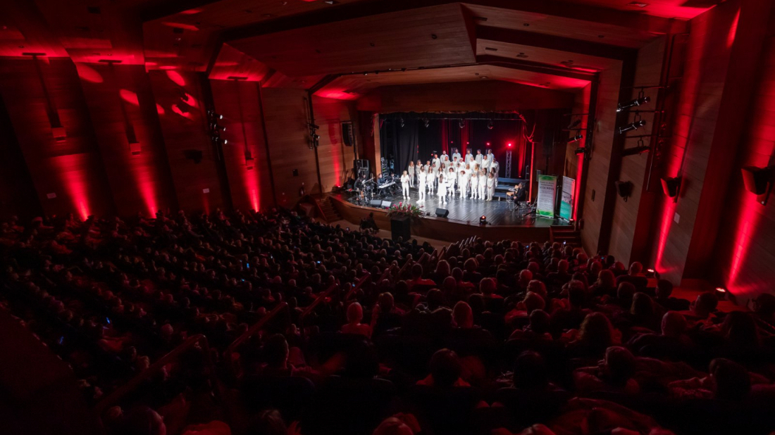 Ovog petka u Pazinu humanitarni koncert uz zbor Roženice, Vesnu Nežić Ružić, Elis Lovrić, Lima Lena i Ivana Licula!