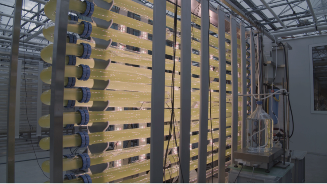 Udruga Metamedij iz Pule u organizaciji IKA-e predstavlja hrvatske i međunarodne umjetnike na festivalu u Novoj Gorici