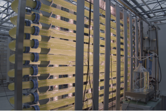 Udruga Metamedij iz Pule u organizaciji IKA-e predstavlja hrvatske i međunarodne umjetnike na festivalu u Novoj Gorici