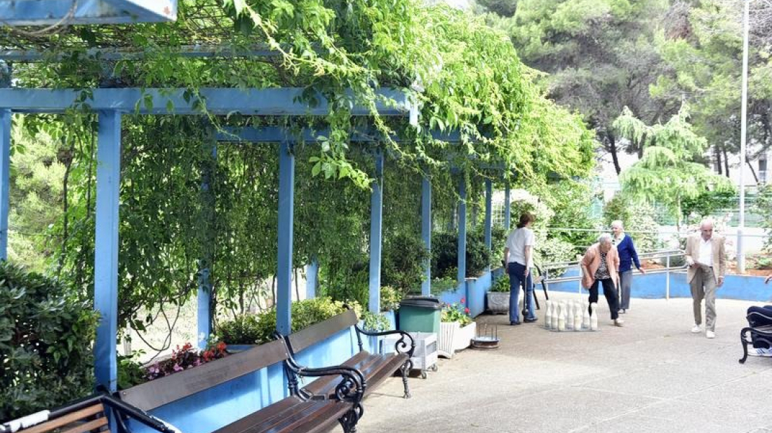 Pulski Možemo! oštro protiv sječe stabala ispred Doma za starije na Verudi!