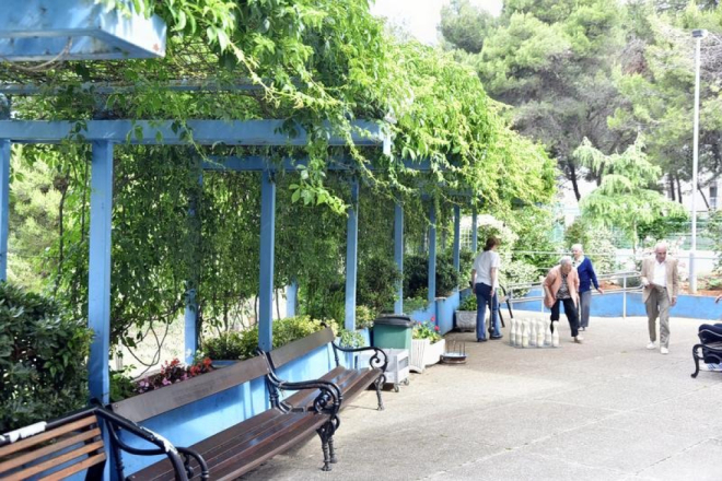 Pulski Možemo! oštro protiv sječe stabala ispred Doma za starije na Verudi!