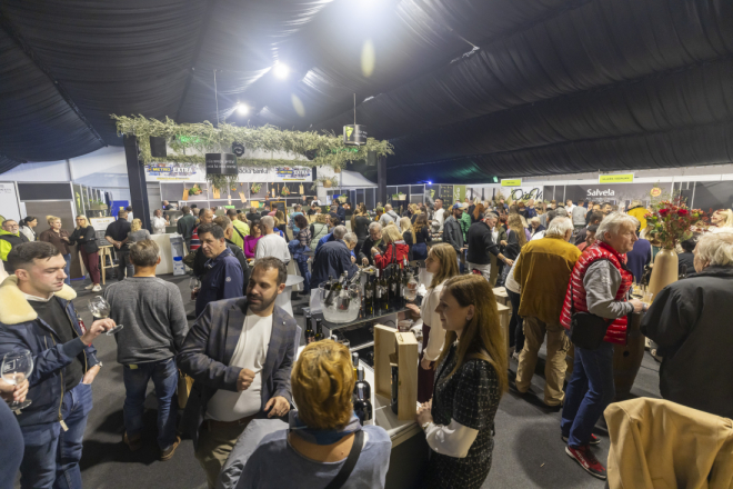 Rekordan odaziv i vrhunska ulja obilježili drugi dan Dana mladog maslinovog ulja u Vodnjanu