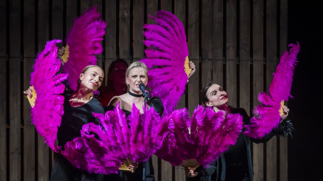 Rekordan odaziv u Rovinju: gotovo 1.200 gledatelja na programima Noći kazališta