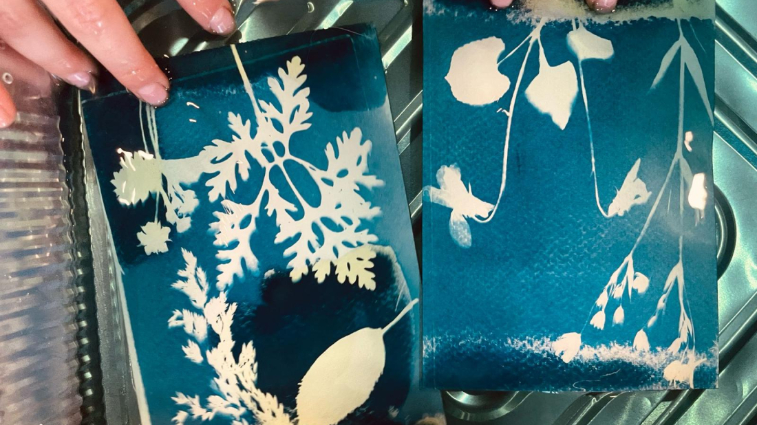 Radionica cijanotipije u Rovinju: izrada fotograma od bilja, cvijeća i fotografija