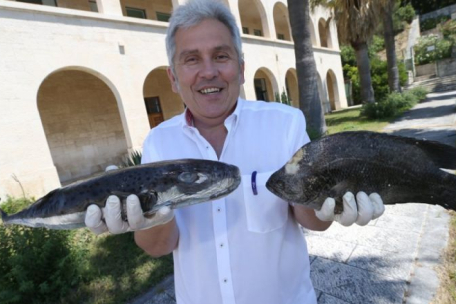 Kako se Jadransko more mijenja?: Predavanje Jakova Dulčića u Sveučilišnoj knjižnici u Puli