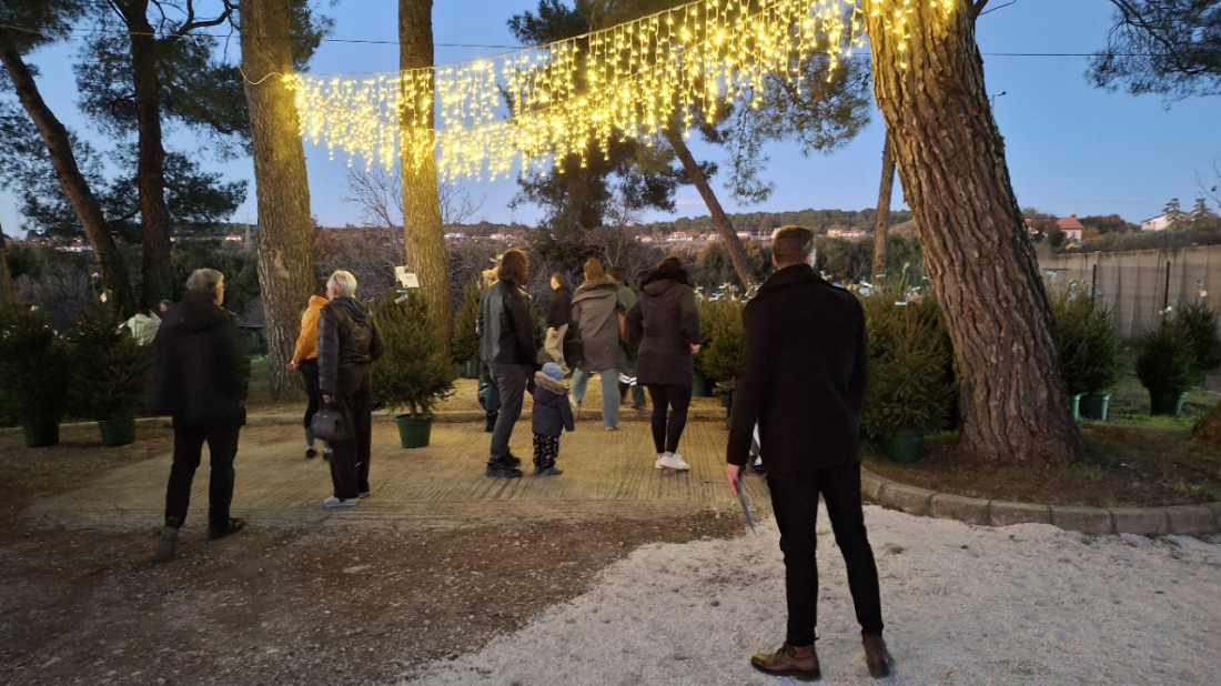 Unajmi drvce, vrati ga prirodi: Održiva blagdanska akcija ponovno u Puli