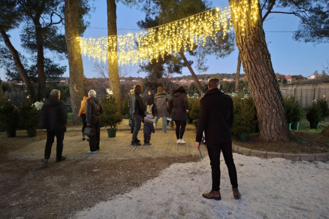 Unajmi drvce, vrati ga prirodi: Održiva blagdanska akcija ponovno u Puli