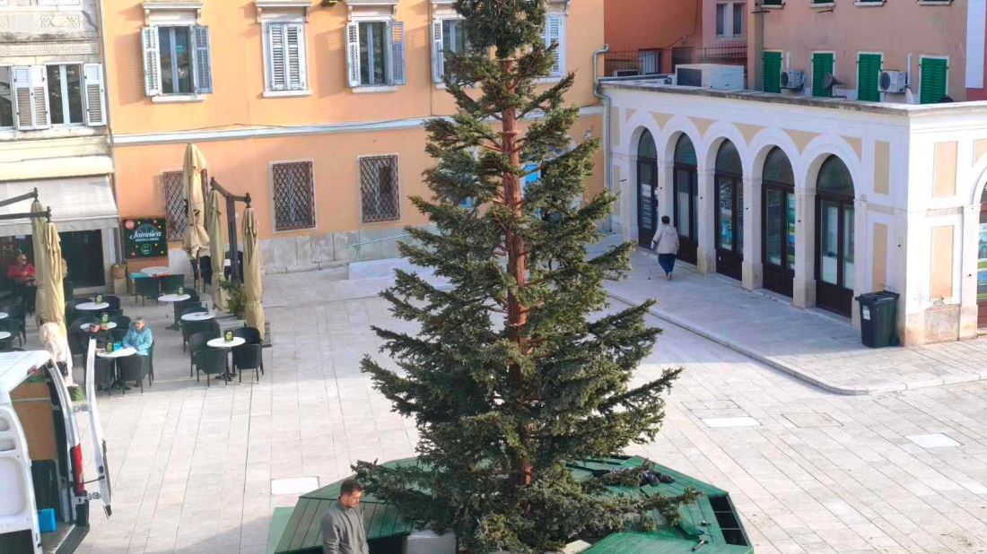 U Rovinju postavljen bor na glavnom trgu, u subotu paljenje prve adventske svijeće