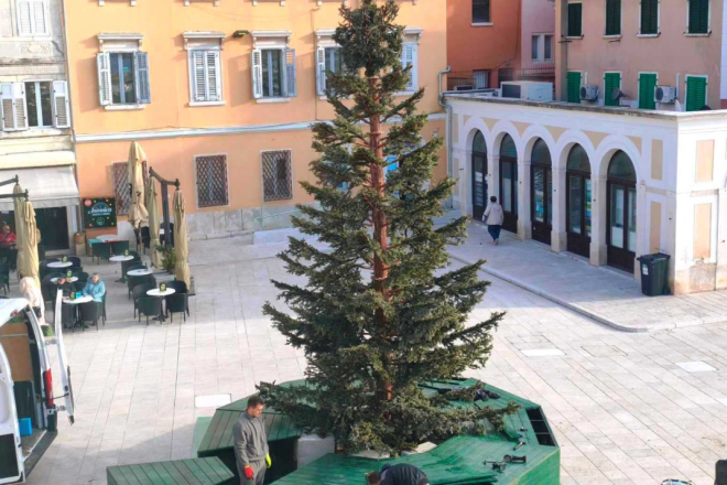 U Rovinju postavljen bor na glavnom trgu, u subotu paljenje prve adventske svijeće