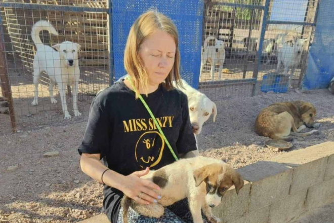 Kad su ljubav i humanost iznad svega: Mira Banković iz Pule već 15 godina spašava životinje od patnje!