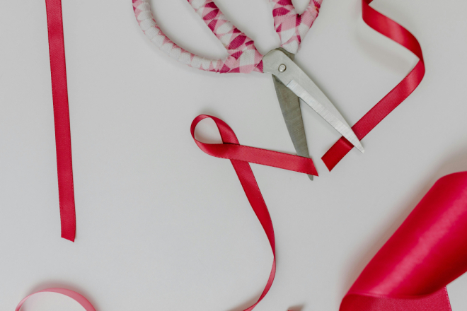 Svjetski dan AIDS-a 2025. – Prevladavanjem izazova unapređujemo odgovor na HIV