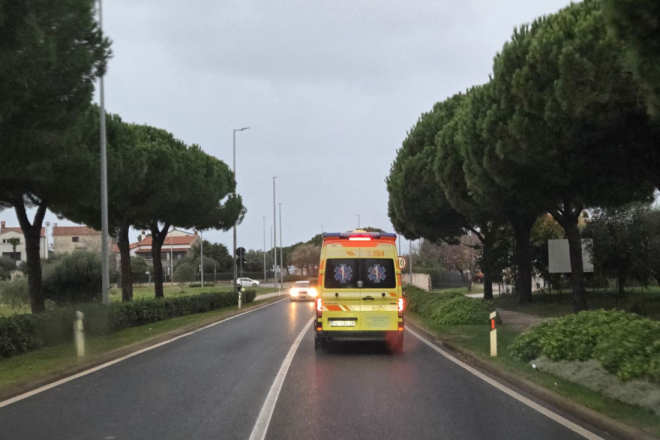 Filipinac sletio s kolnika i udario u stablo kod Tara: ozlijeđene tri osobe