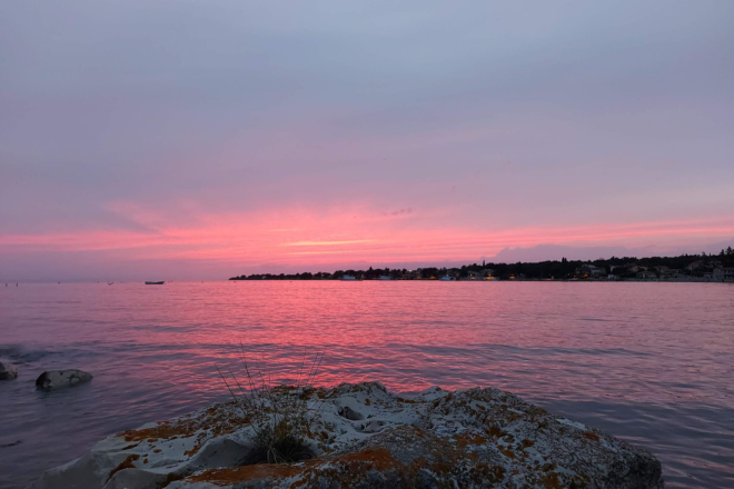 Inicijativa Dajla upozorava: Europska komisija istražuje projekt luke Dajla–Belveder