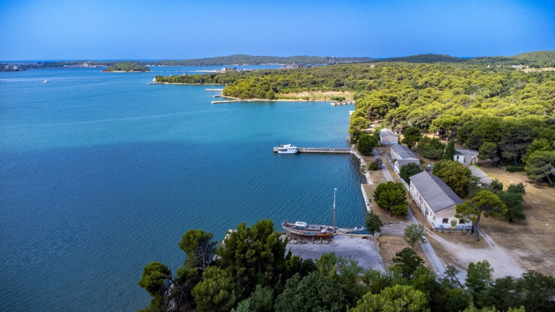 Pula: Ove subote lov na divlje svinje na području Štinjana i Marine Polesana!