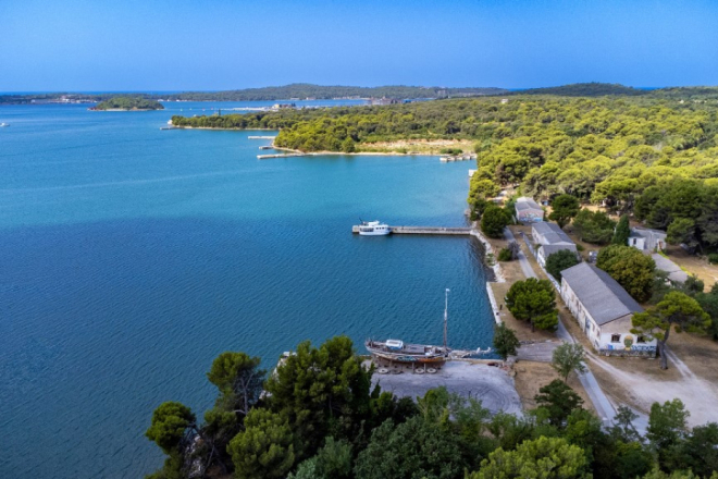 Pula: Ove subote lov na divlje svinje na području Štinjana i Marine Polesana!
