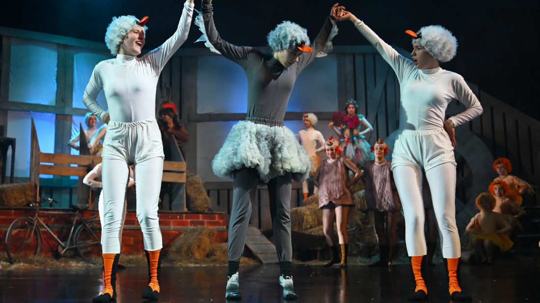 Ove subote premijera za djecu u Puli: „Ružno pače“ u INK