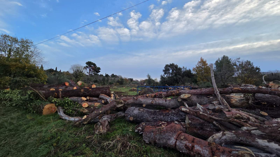 Nimčević: Šuma će se obnoviti, a sigurnost građana je prioritet