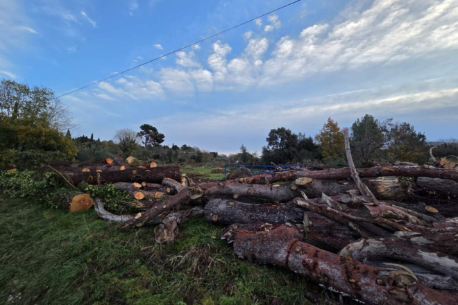 Nimčević: Šuma će se obnoviti, a sigurnost građana je prioritet
