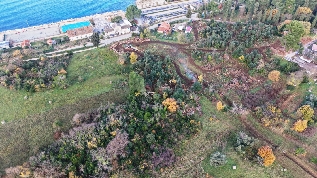 Hrvatske šume: Uklanjanje stabala u Rovinju dio je sanacije nakon lipanjskog nevremena