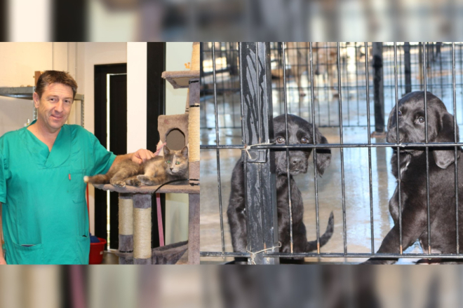 Bili smo u Skloništu za životinje Pula: Pogledajte kakve njuške čekaju baš vas!