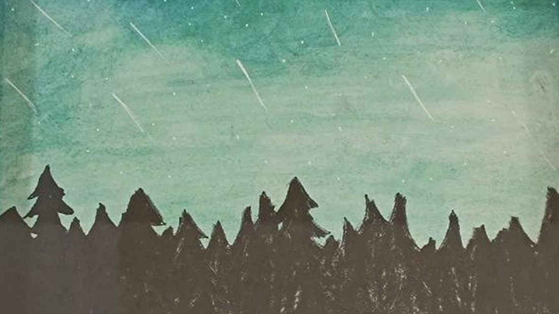 Geminidi - predstoji nam najbolja noć zvijezda padalica u godini!