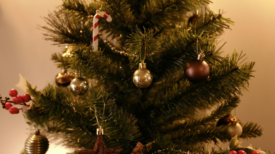 Badnjak između tradicije i blještavila: fra Stjepan Brčina o zaboravljenoj duhovnoj dimenziji Božića