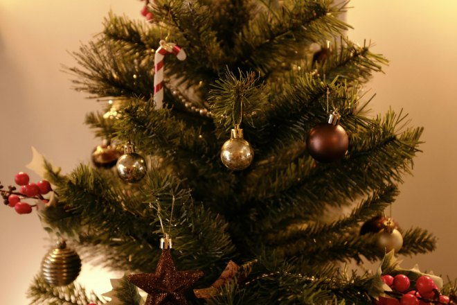 Badnjak između tradicije i blještavila: fra Stjepan Brčina o zaboravljenoj duhovnoj dimenziji Božića