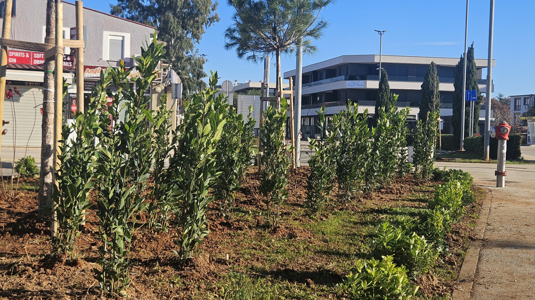 Medulin: Završena je prva faza ozelenjavanje ulice Osipovica