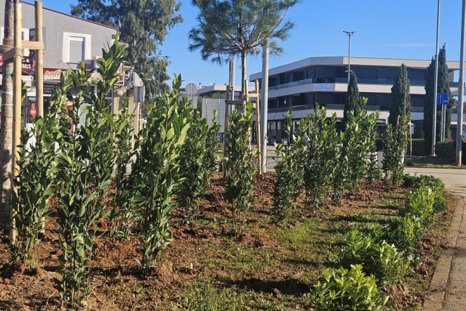Medulin: Završena je prva faza ozelenjavanje ulice Osipovica